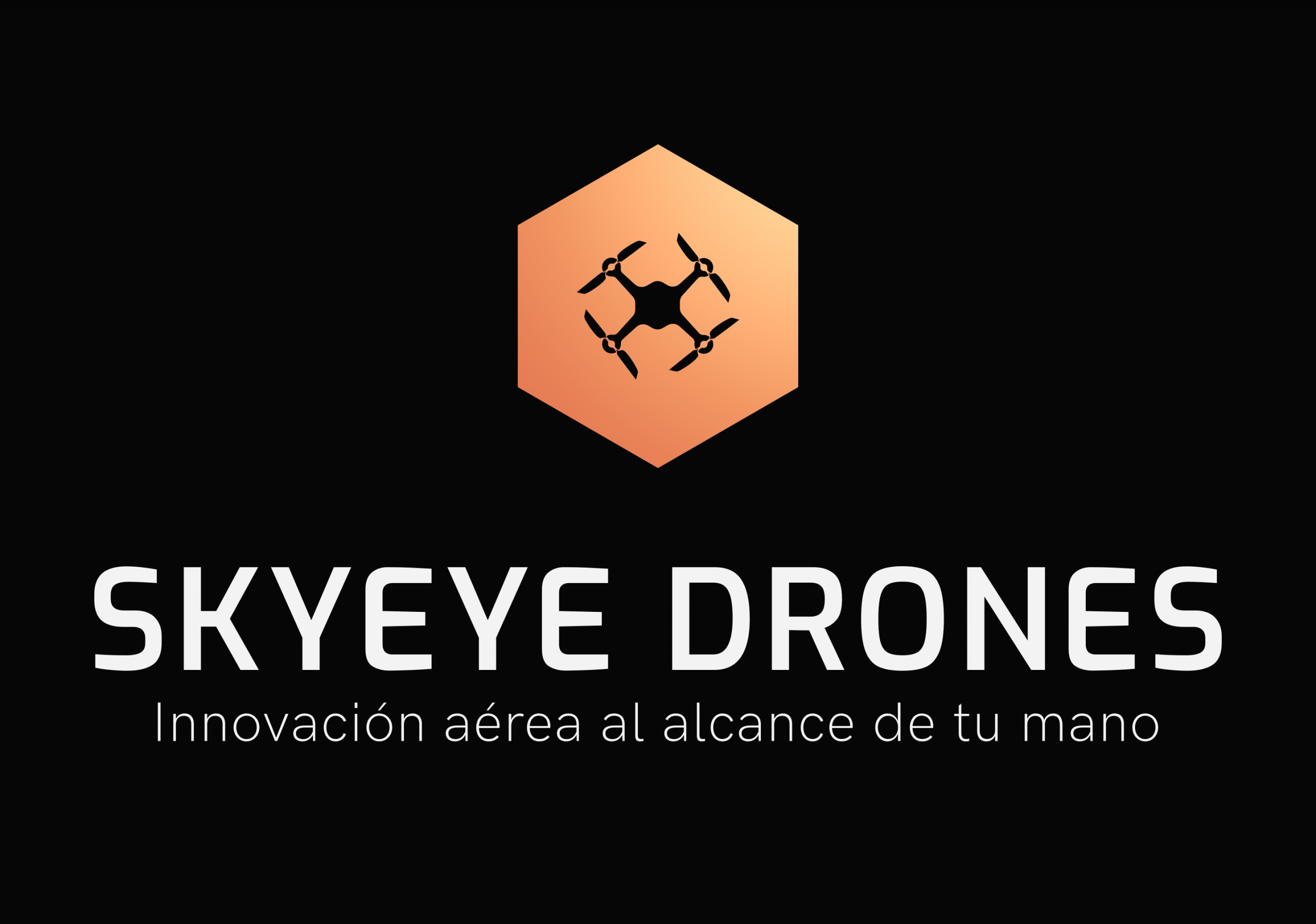 SkyEye Drones