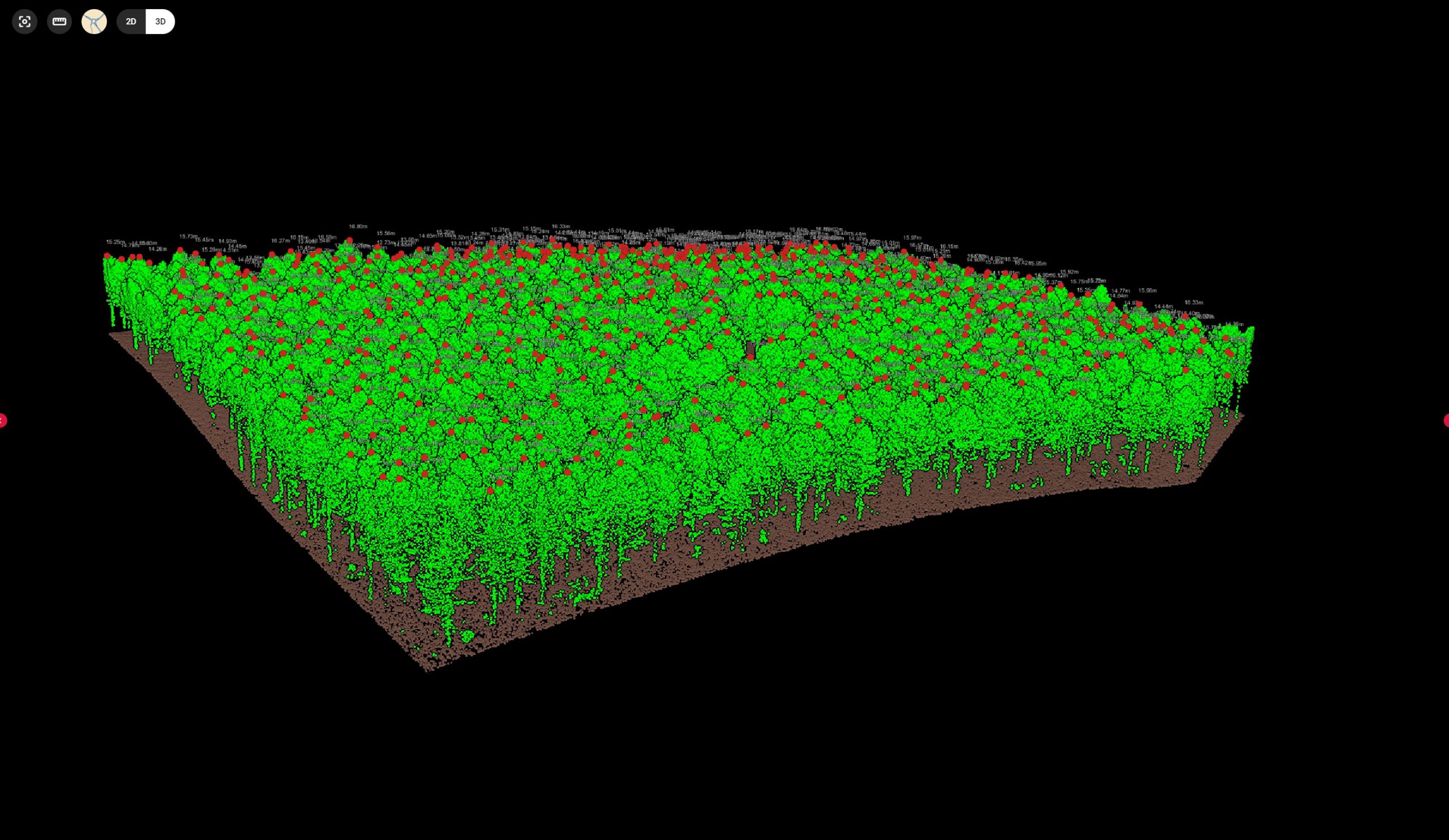 Pinar estimaci&oacute;n carbono CO2