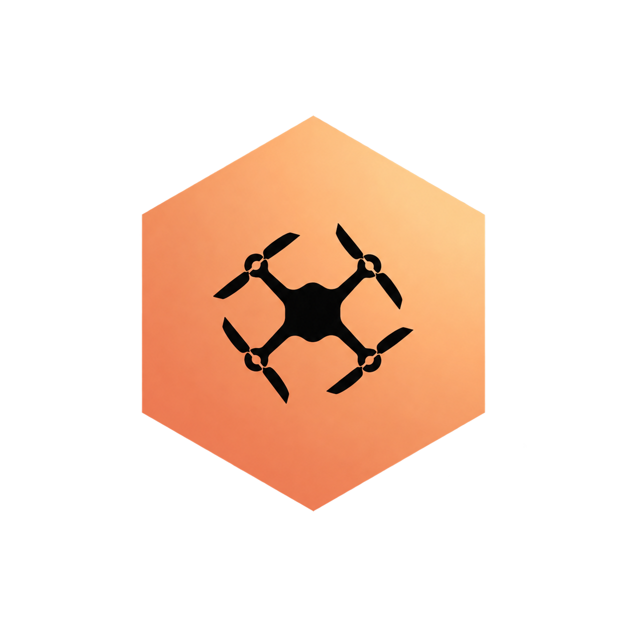 Logotipo oficial de SkyEye Drones